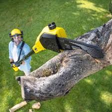 Artificial Turf Installation in Southmayd, TX